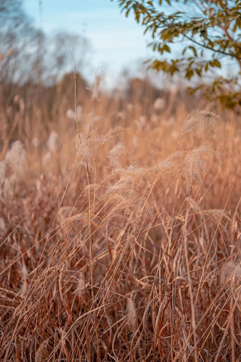 Источник: WeChat