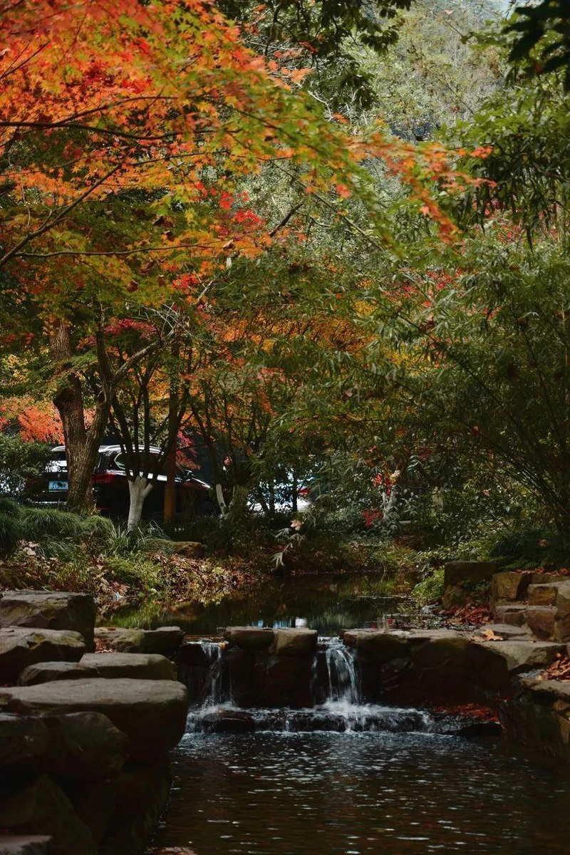 Источник: WeChat