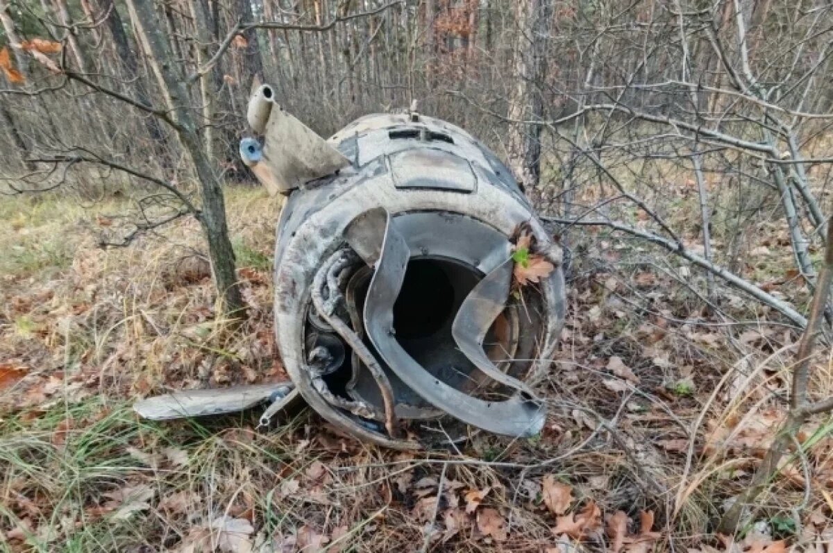    Режим ЧС ввели в Советском районе Воронежа после падения в СНТ частей ракет