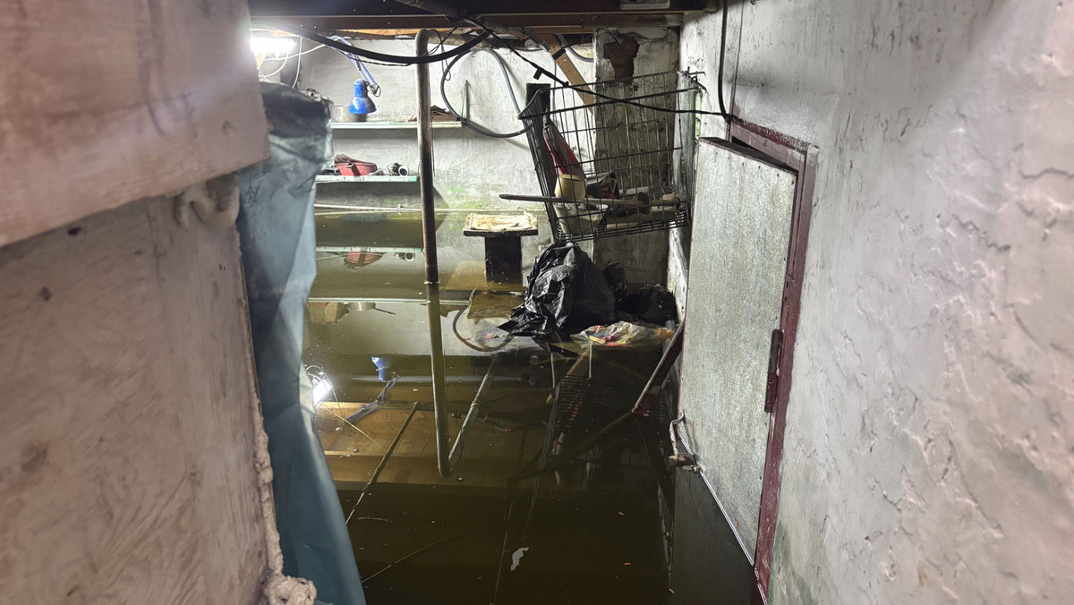   Татьяна Струкова / RTVI