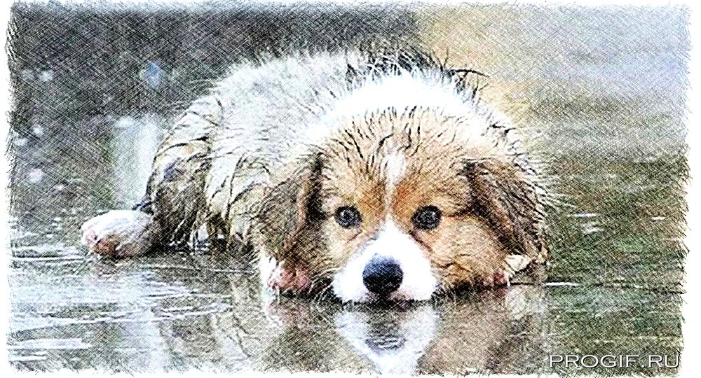 Искупление