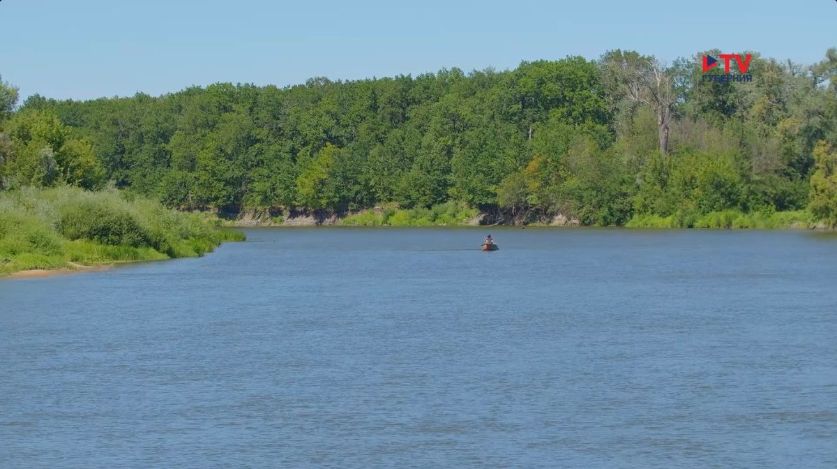     Фото: TV Губерния