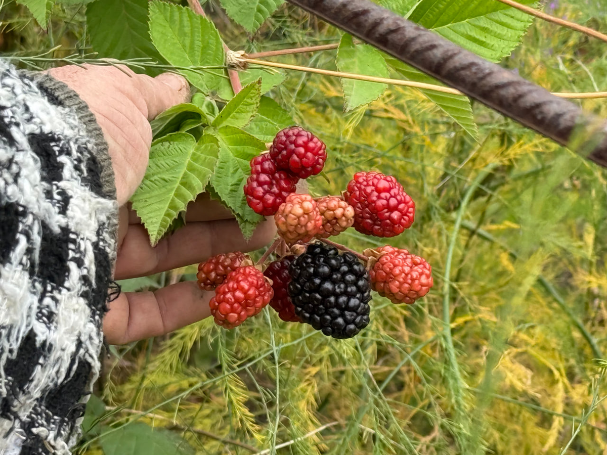 Фото автора