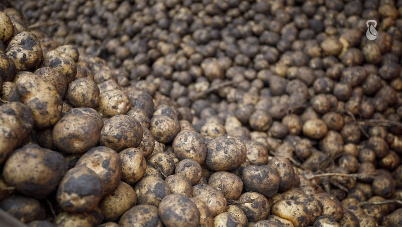      Фото: Дмитрий Ахмадуллин / / ИА «Победа26»