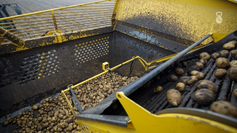    Аграриям помогают субсидиями из бюджета края по поручению губернатора Ставрополья Владимира Владимирова Фото: Дмитрий Ахмадуллин / / ИА «Победа26»