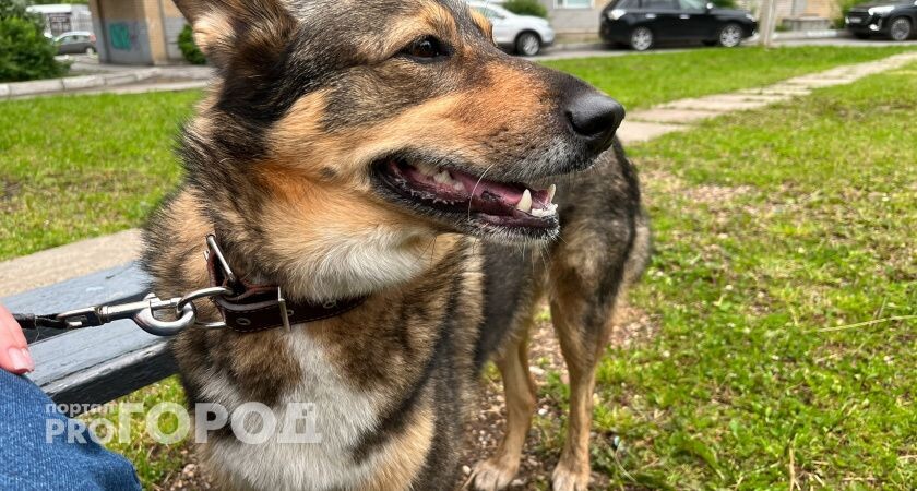    Volgogradru.com, фото из архива