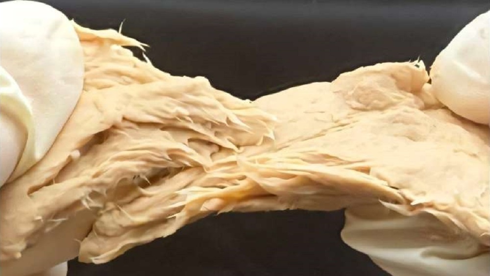     Фото: Xiao Liu, Trends in Biotechnology