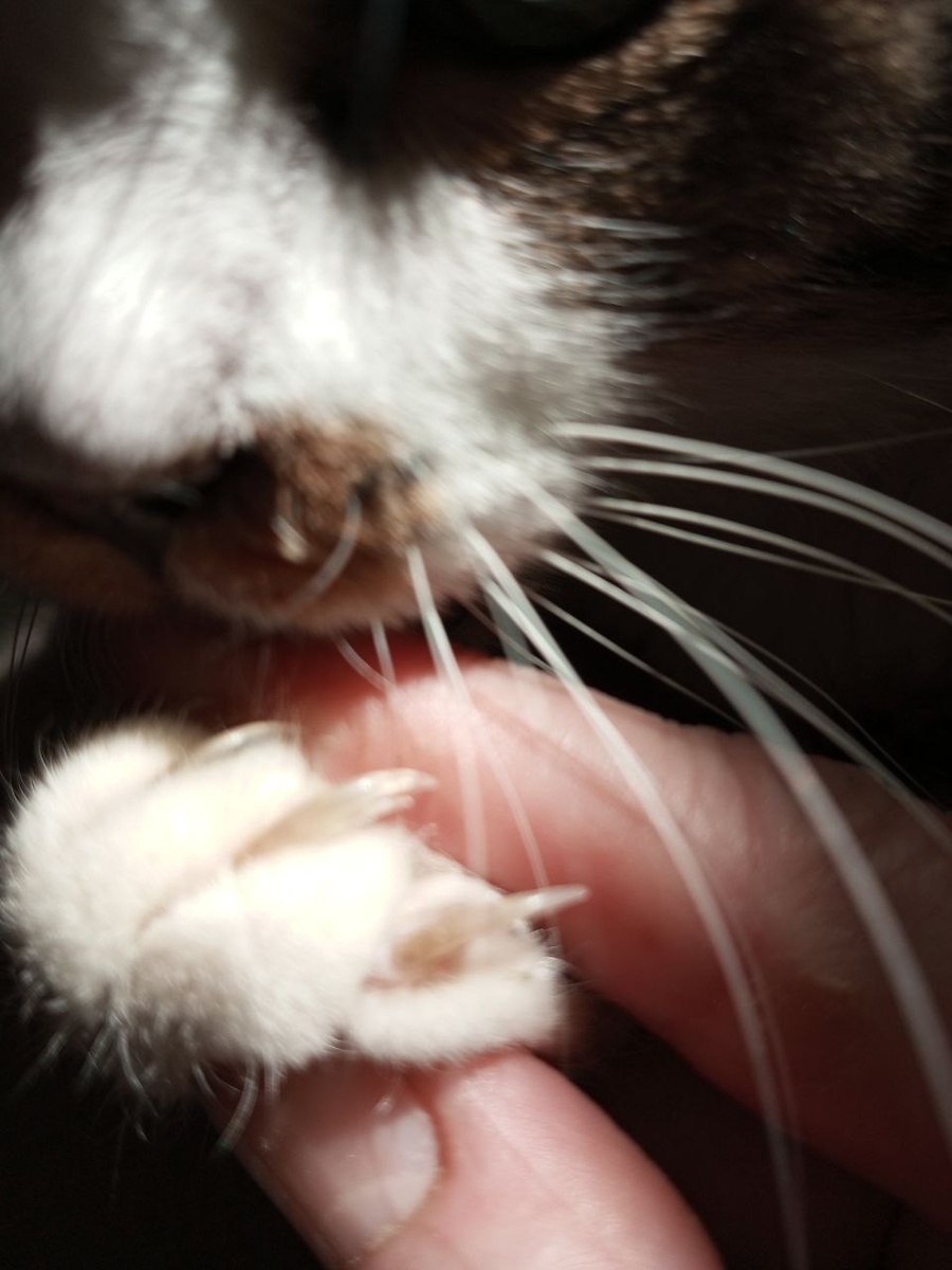 Морсик наш тут