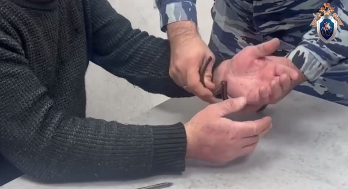    Скриншот видео t.me/kubansledcom