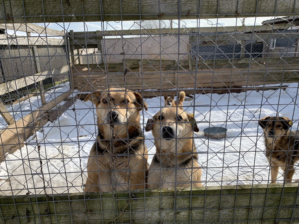    Фото: личный архив Натальи Пановой
