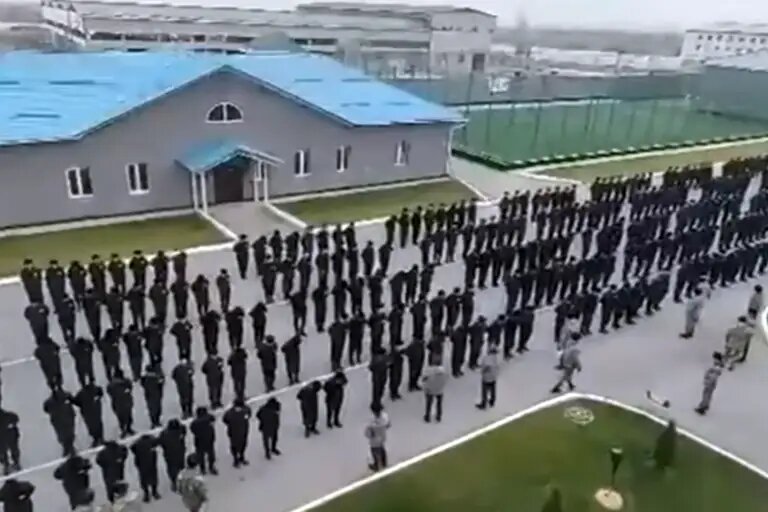    Кадр из видео