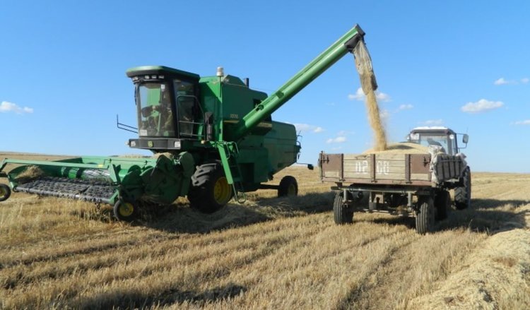    Фото: Минсельхоз Забайкальского края