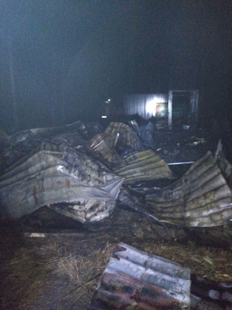    Фото: Госкомитет Карелии по ОЖ и БН