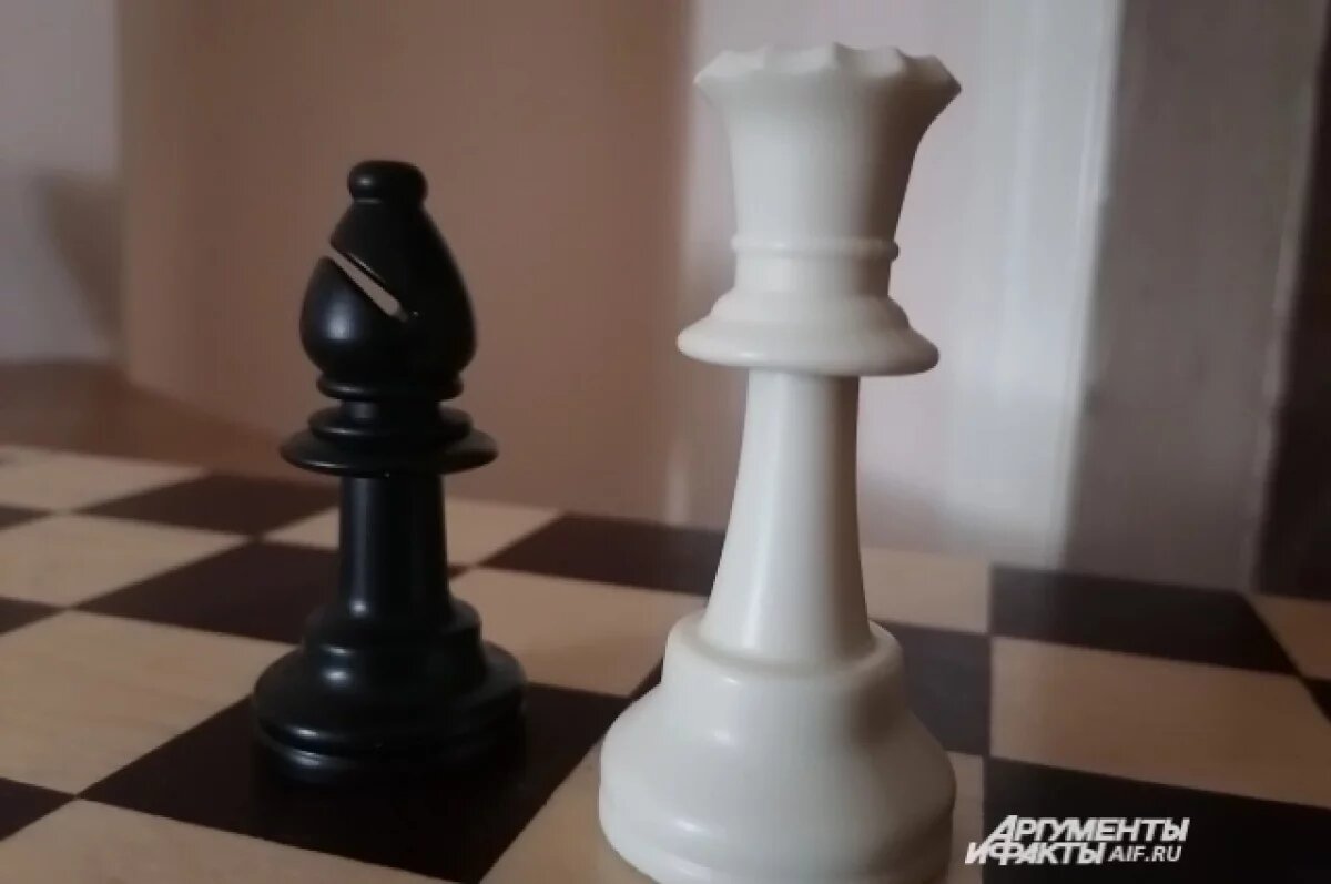    Оренбургская шахматистка вошла в число победителей чемпионата мира по шахматам.