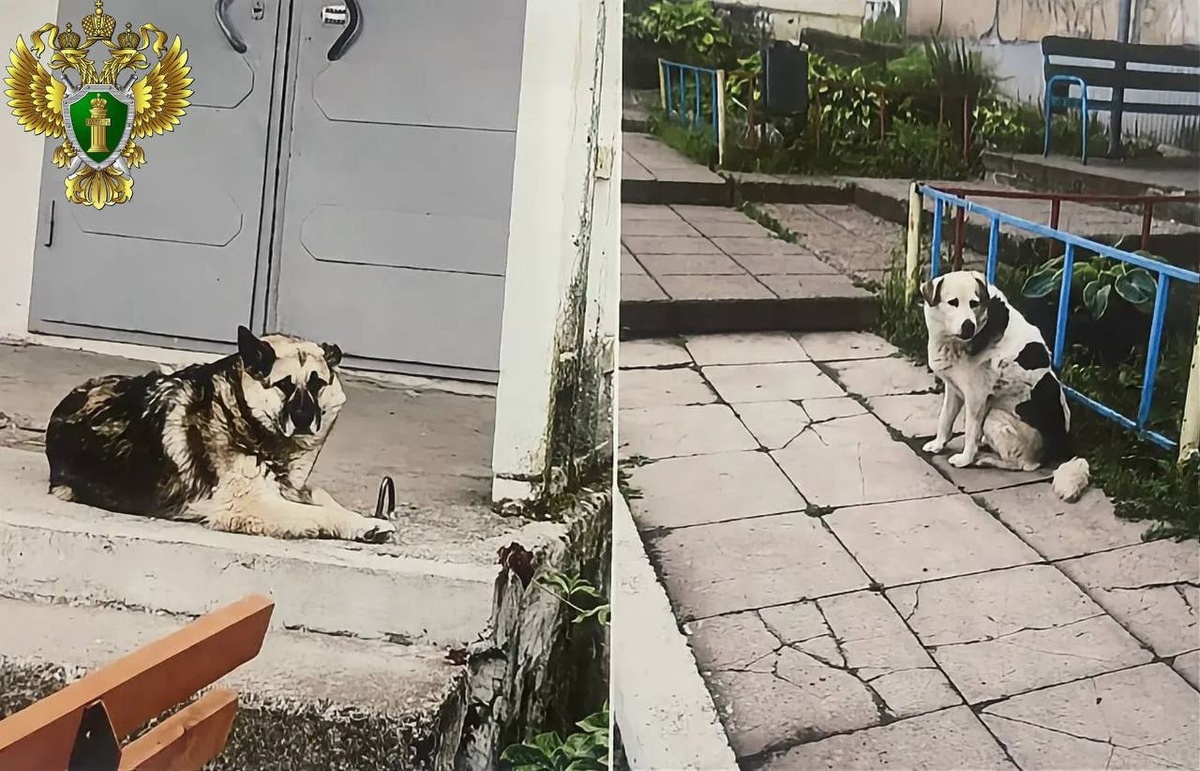 Фото прокуратуры Челябинской области