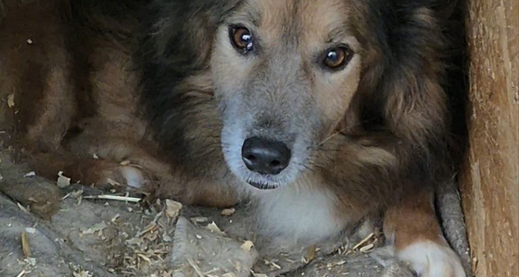 Холод и голод =смерть