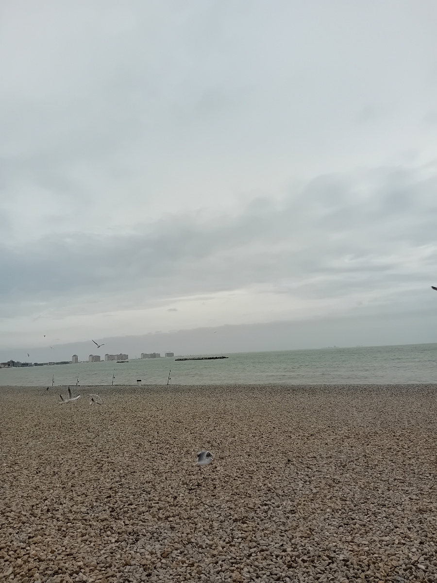 Авторское фото.