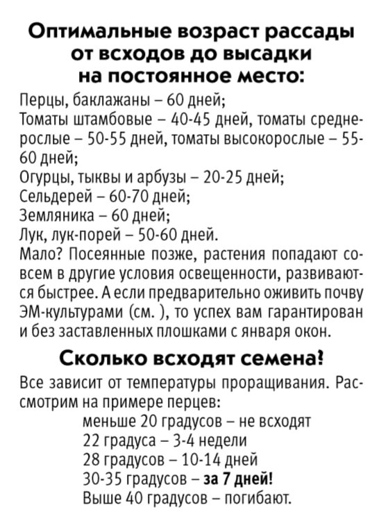 Оптимальный возраст рассады от всходов до высадки в грунт. Про оживление грунта чуть ниже.