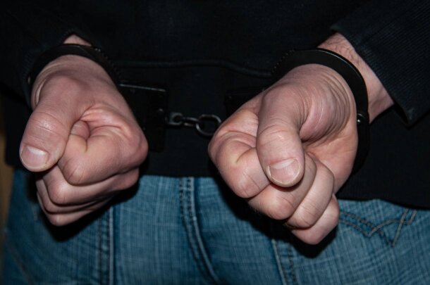    Фото: Svetlana Vozmilova/Global Look Press/Globallookpress