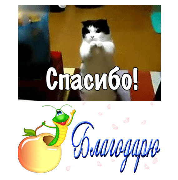 Две формулы благодарения