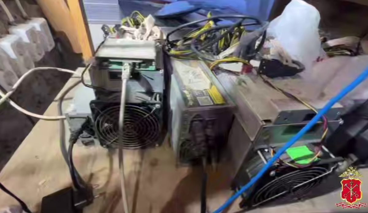     / Источник: © ГУ МВД России по г. Санкт-Петербургу и Ленинградской области