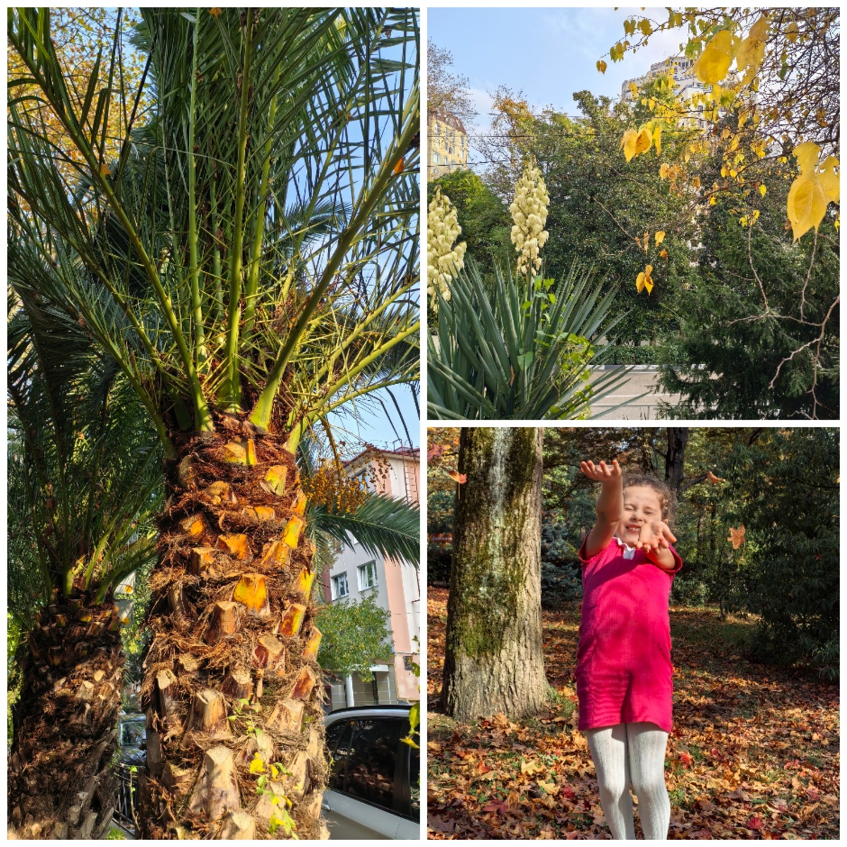 наш ноябрь)