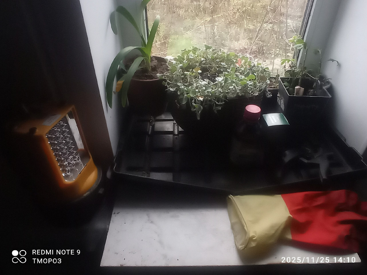 за окном улица,пот окном котел