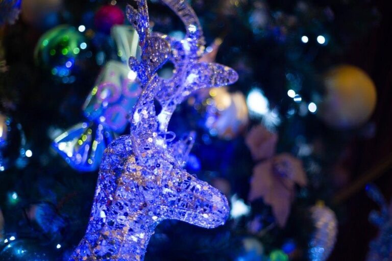    Фото: Общественная Служба Новостей Мария Спиридонова