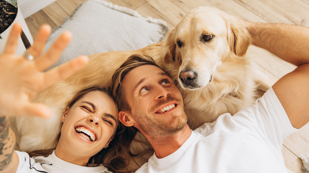     Фото: AYO Production/Shutterstock/FOTODOM Исследование Кембриджского университета выявило поразительное генетическое сходство между поведенческими особенностями золотистых ретриверов и эмоциональными характеристиками людей