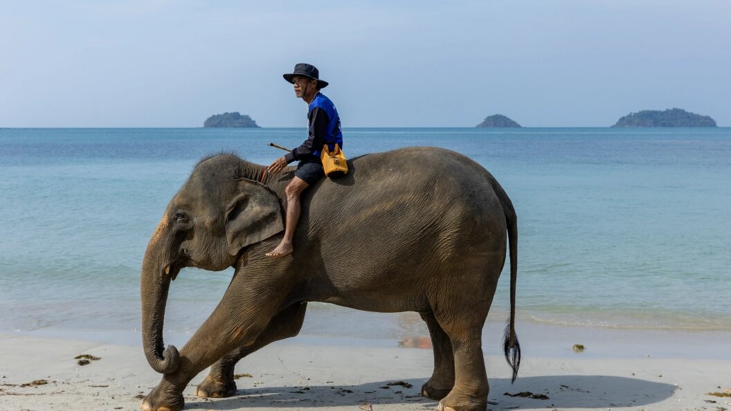    Aleksey Smyshlyaev/Globallookpress