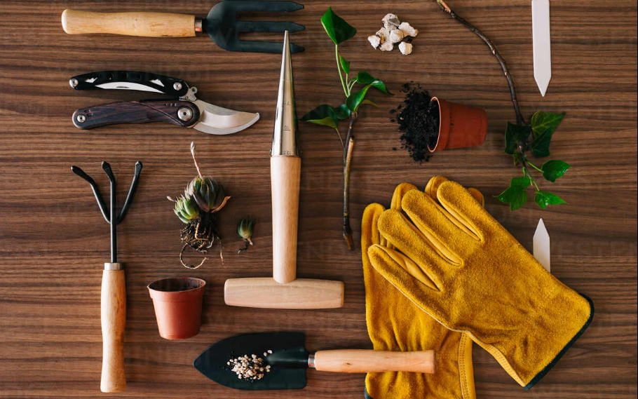 СОгласитесь, таких картинок в сети навалом