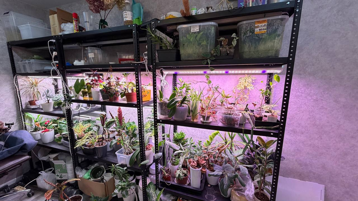 Ну где она, эстетика то?