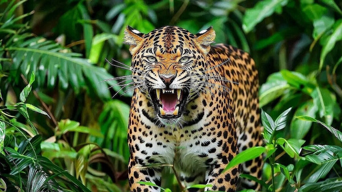    Изображение создано при помощи ИИ