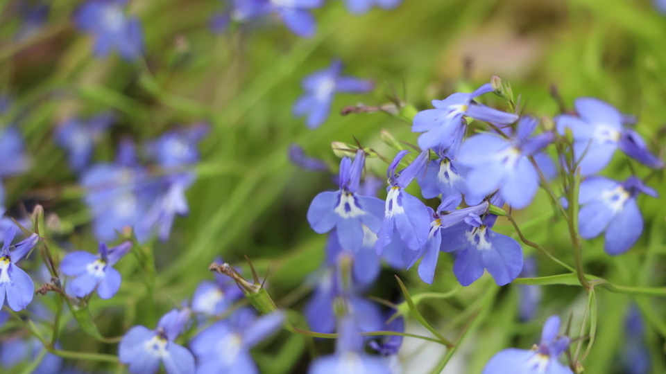 Результат говорит сам за себя