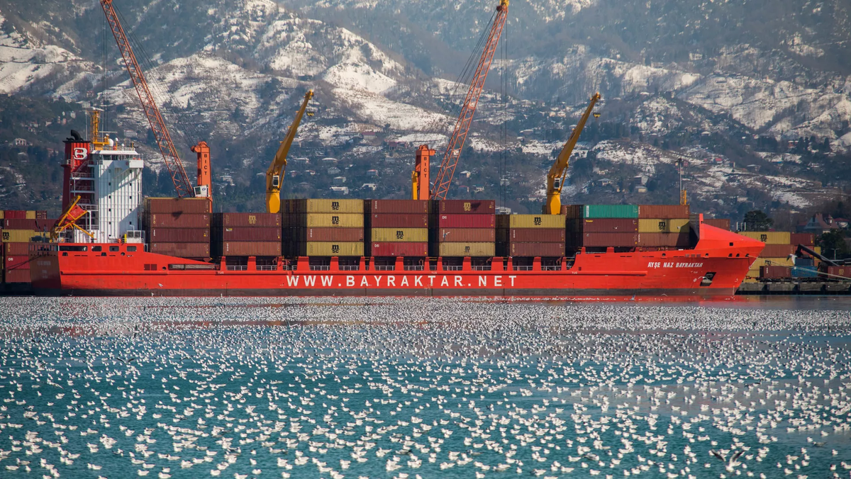 © Sputnik / Vladimir Umikashvili
