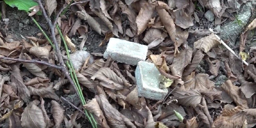    Фото: «Кубань Информ»