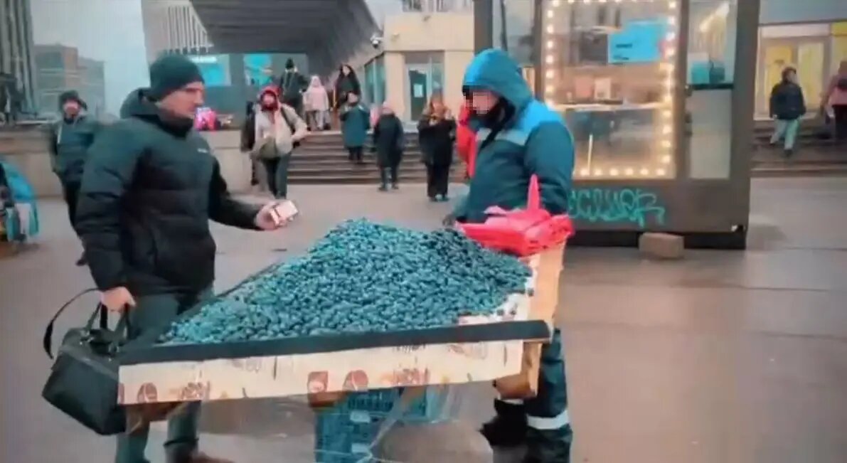    Фото: кадр видо ККИ