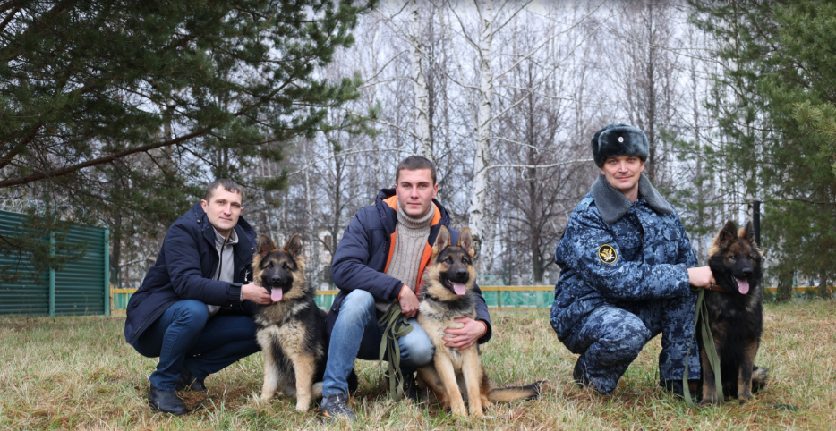 Три немецкие овчарки начнут службу в учреждениях УФСИН Самарской области