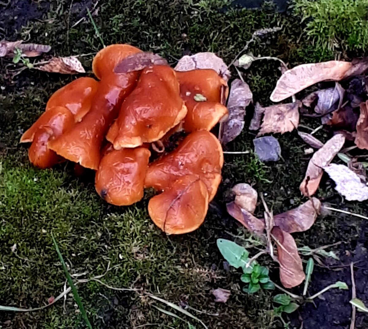 Фото автора статьи 25.11.2025г.