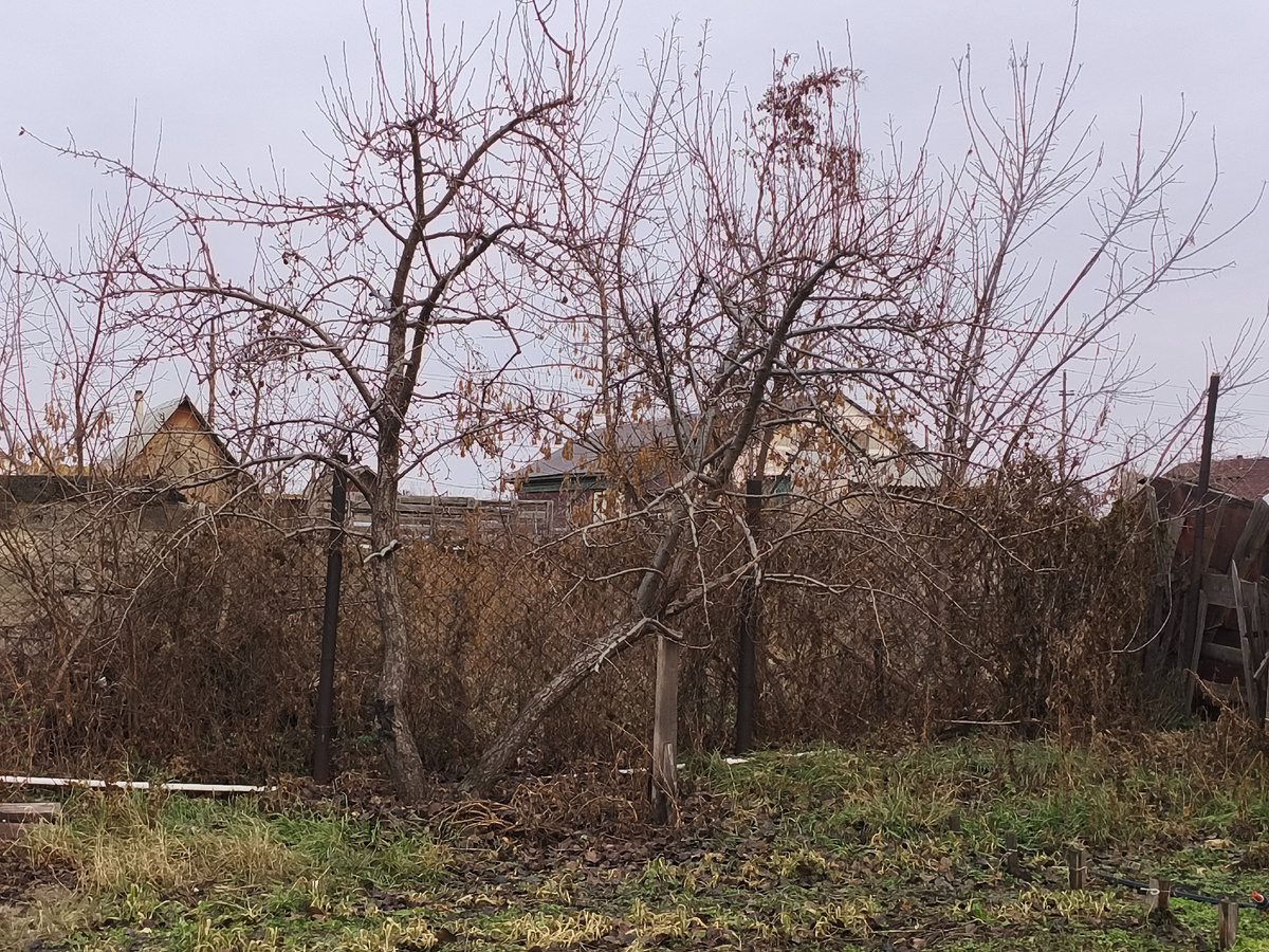 Наша осень. 