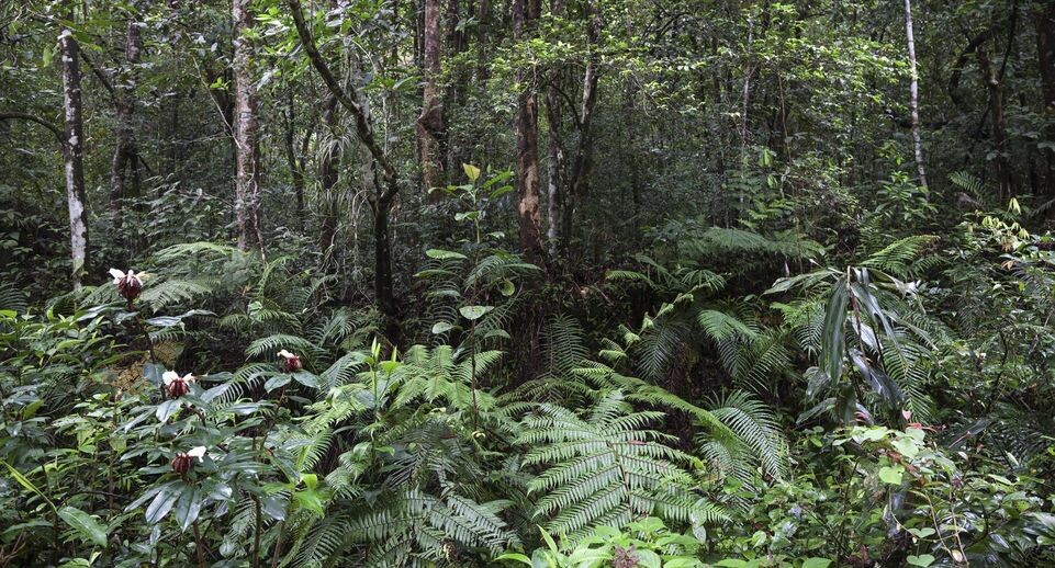    Harry Laub/imageBROKER.com / www.globallookpress.com