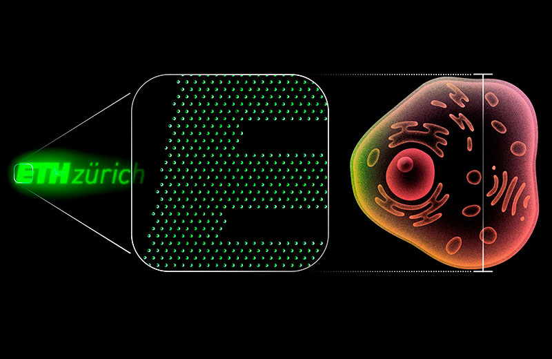 В Швейцарии создали нано-OLED разрешением 50 000 PPI в 100 раз меньше клетки