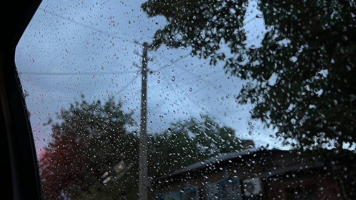    Фото: телеканал «Краснодар»