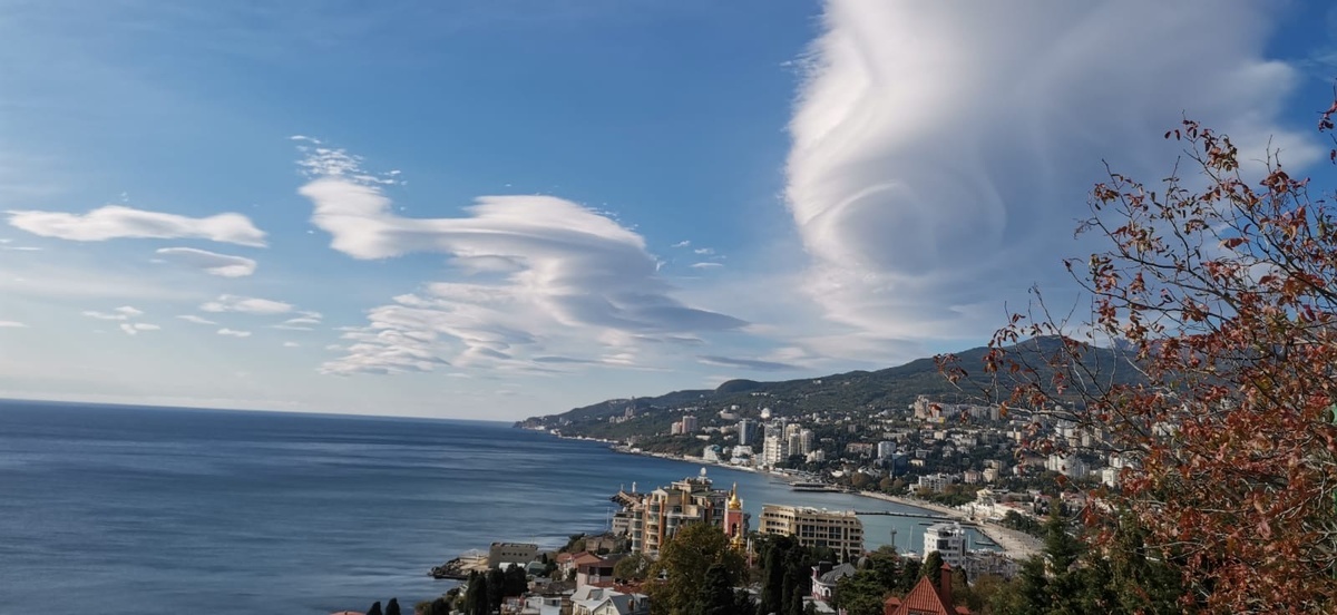 Фото от Марины, СПб, вид с Поликуровского холма на город. 