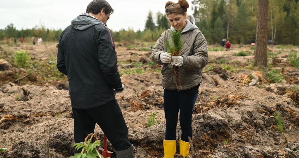 Лес вместо подарков: как день рождения превратился в гектар сосен
