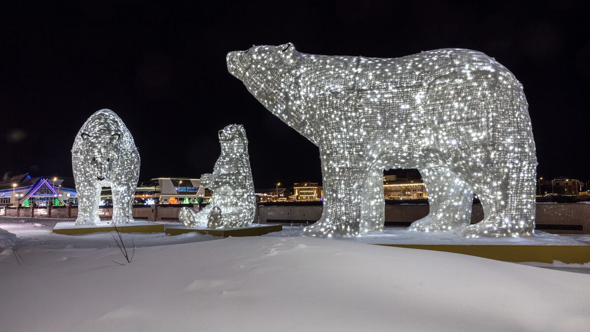    Фото: Федор Воронов / «Ямал-Медиа»