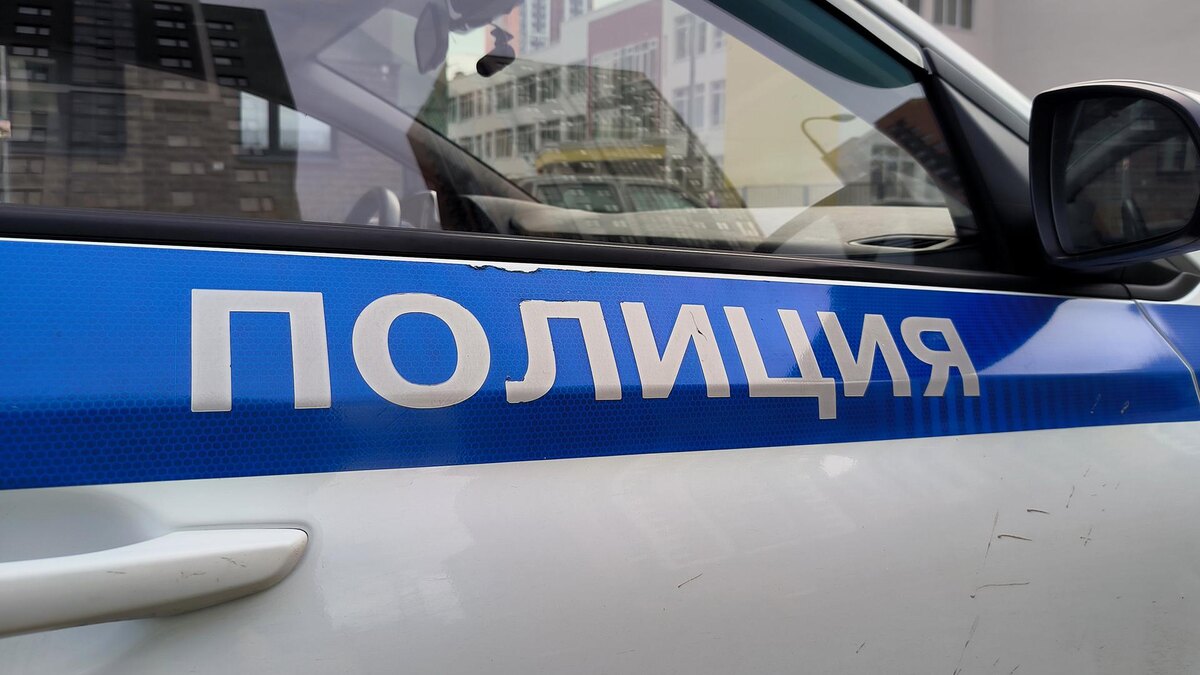    Фото: Maksim Konstantinov/globallookpress.com