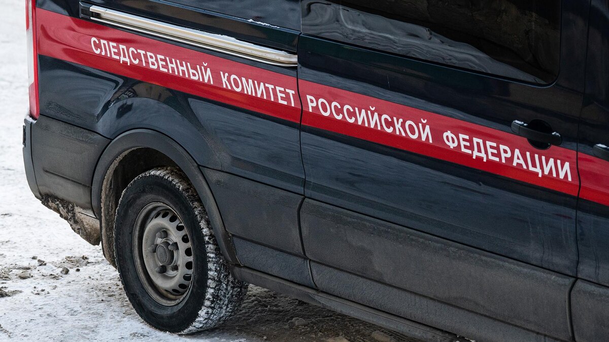    Фото: Ilya Moskovets/globallookpress.com