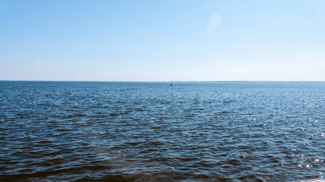    Фото: Svetlana Vozmilova/Globallookpress