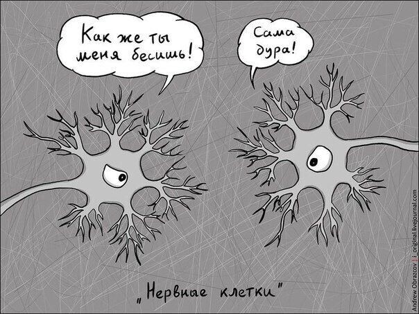 Передача боли происходит посредством  нервных клеток, через «волосики» синапсы 